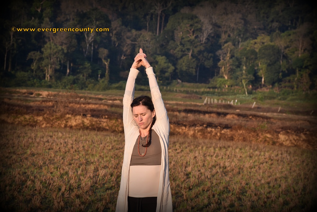 Sunrise yoga in the paddy fields