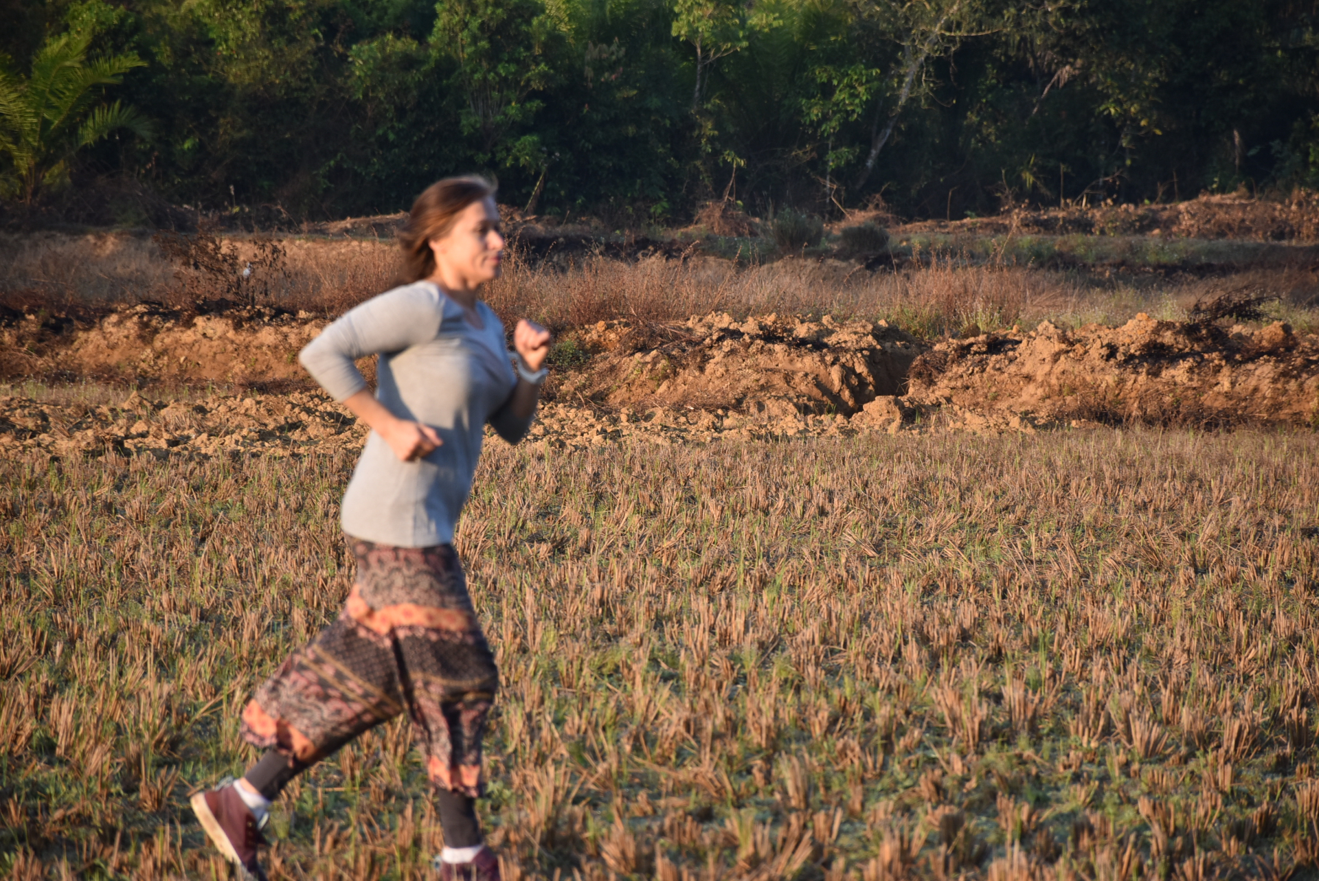 Guest running through the golden fields