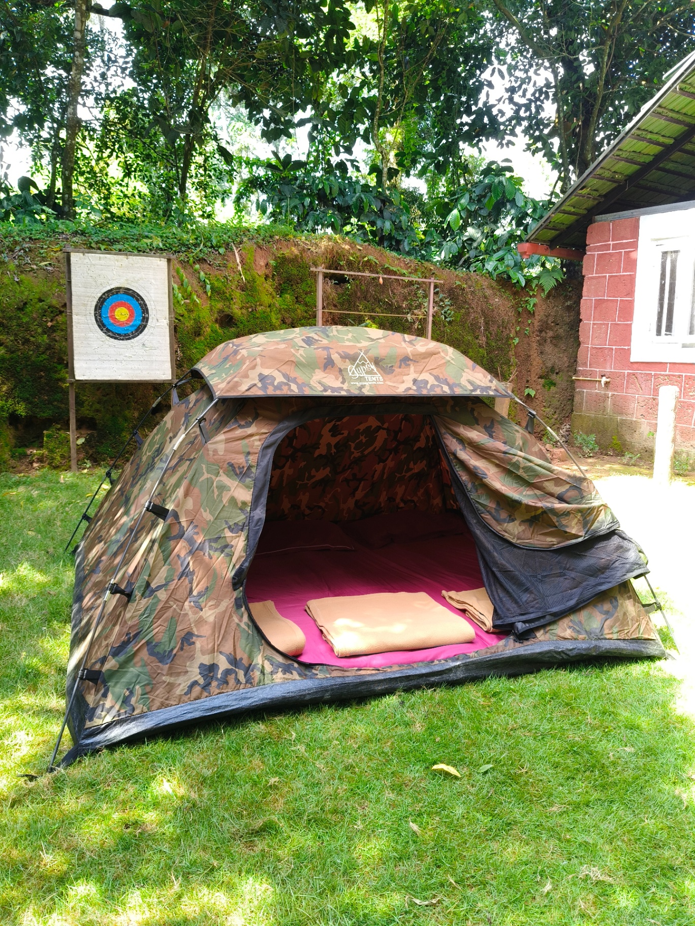 Tent with mesh door open to the forest